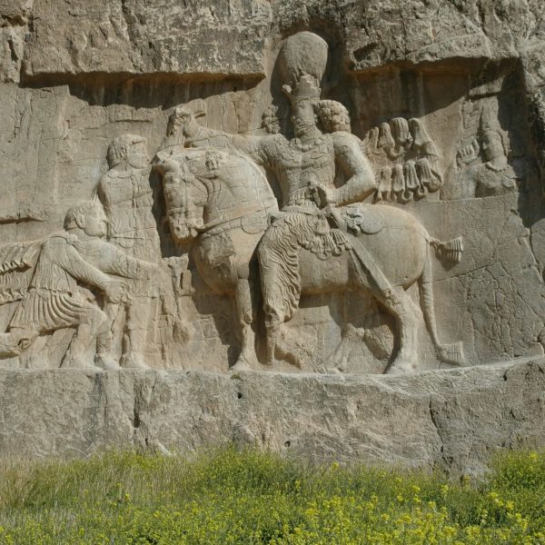 Stefano vigorelli Q6wUUhHXYvw unsplash 1 600x600