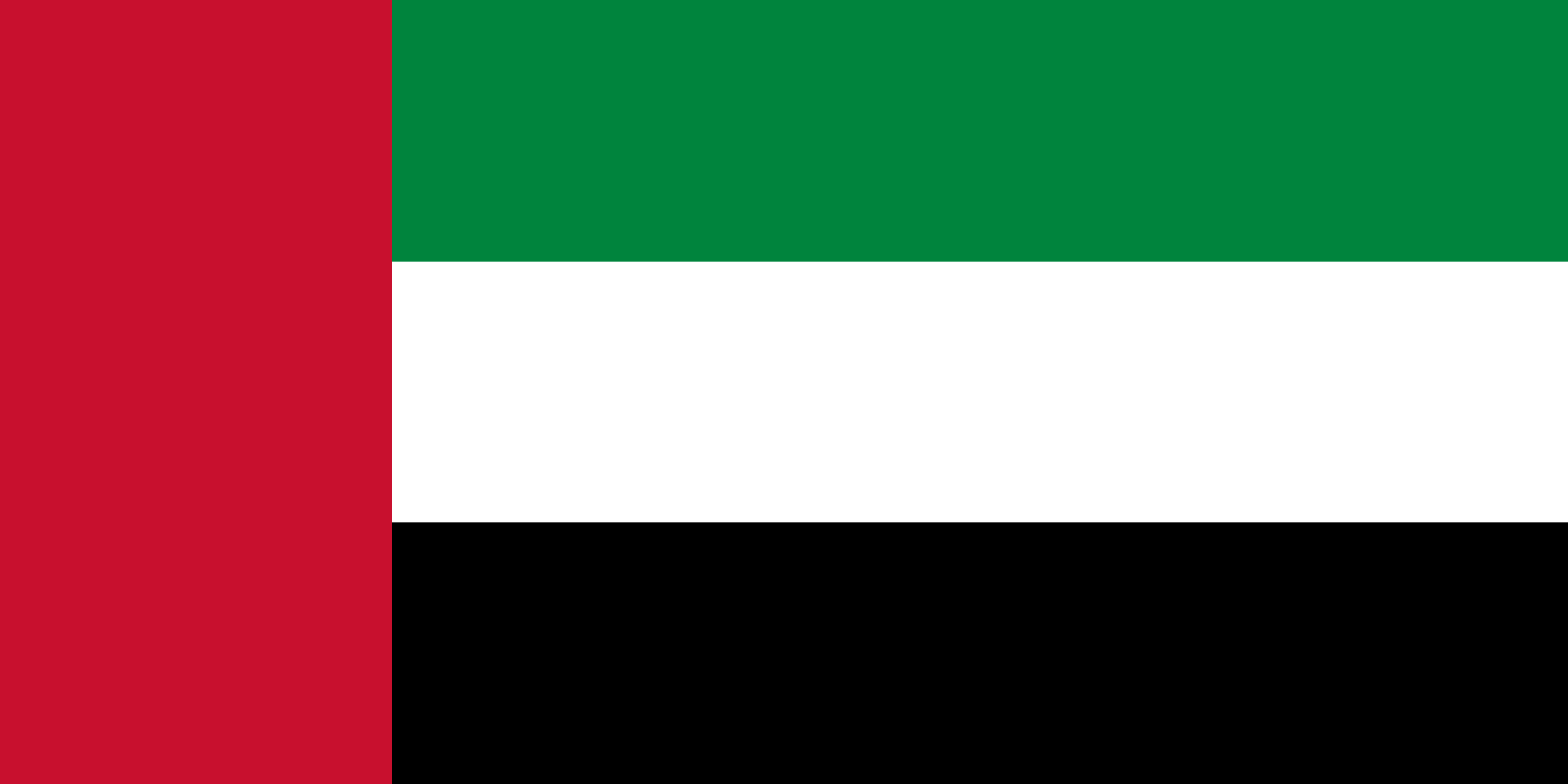 Flag of the United Arab Emirates svg