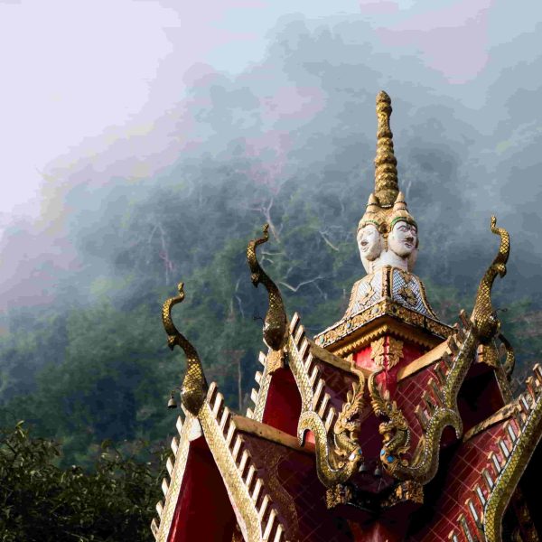 Rob king Mcw7iFvOjdQ unsplash 1 600x600