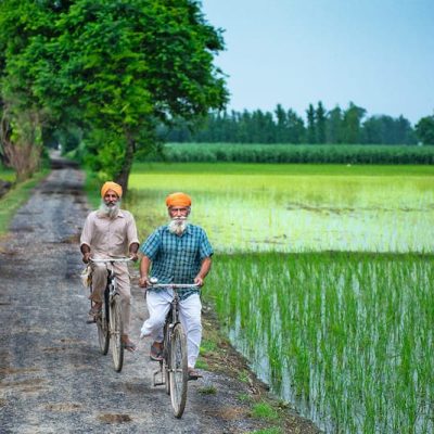 Punjab Declares Flood-Affected Areas as Disaster Zones and Initiates Relief Efforts